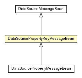 Package class diagram package DataSourcePropertyKeyMessageBean